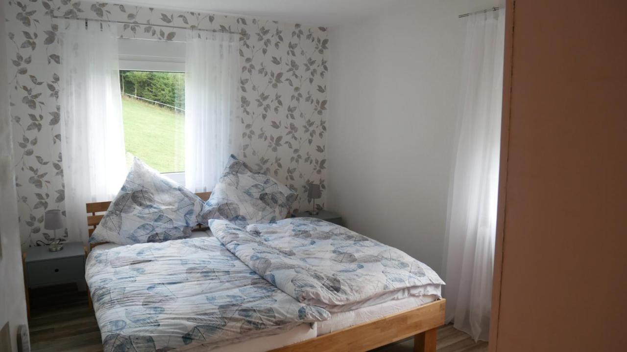 Modernisierte Ferienwohnung Im Schoenen Sauerland メシェデ エクステリア 写真