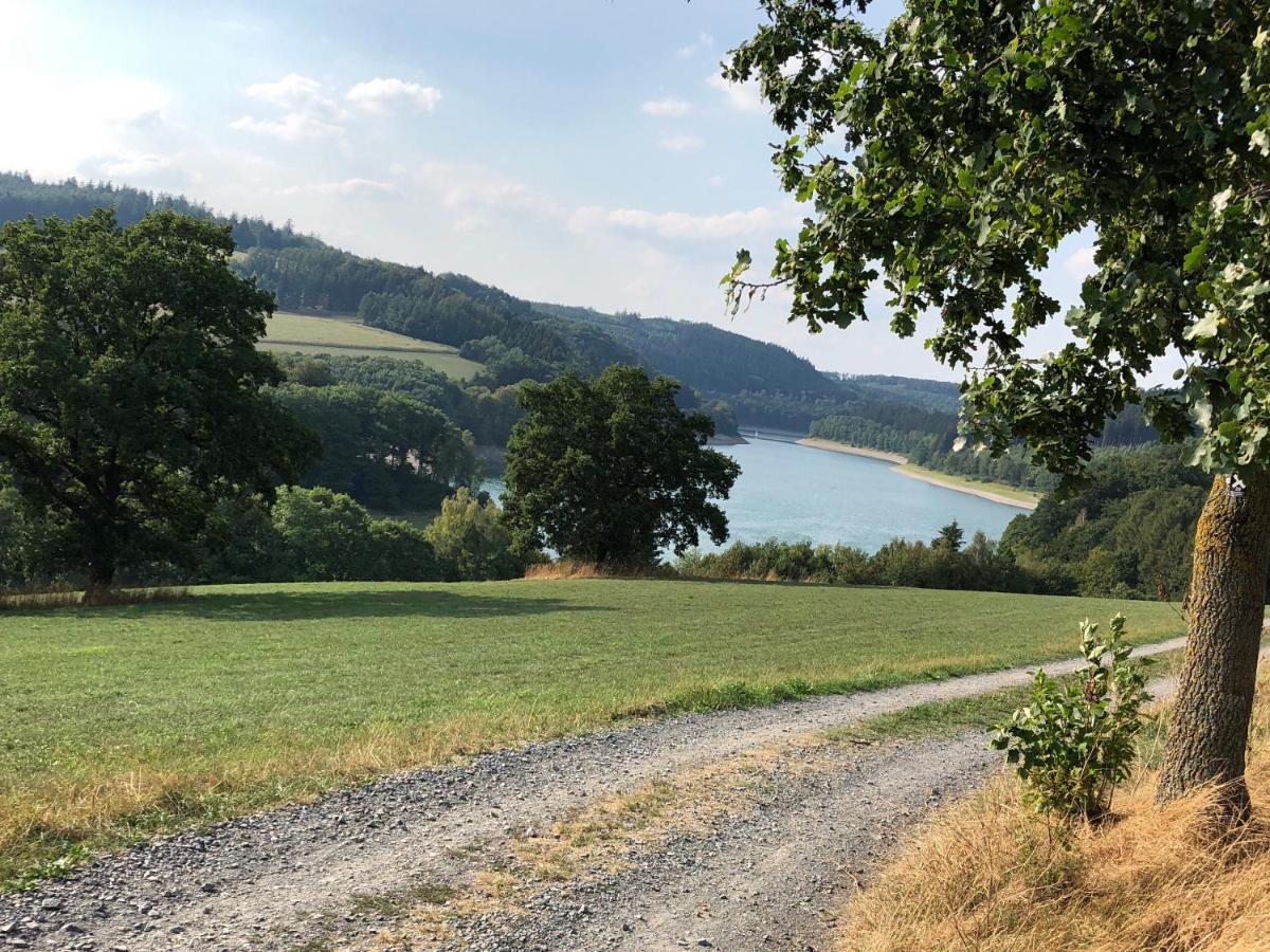 Modernisierte Ferienwohnung Im Schoenen Sauerland メシェデ エクステリア 写真