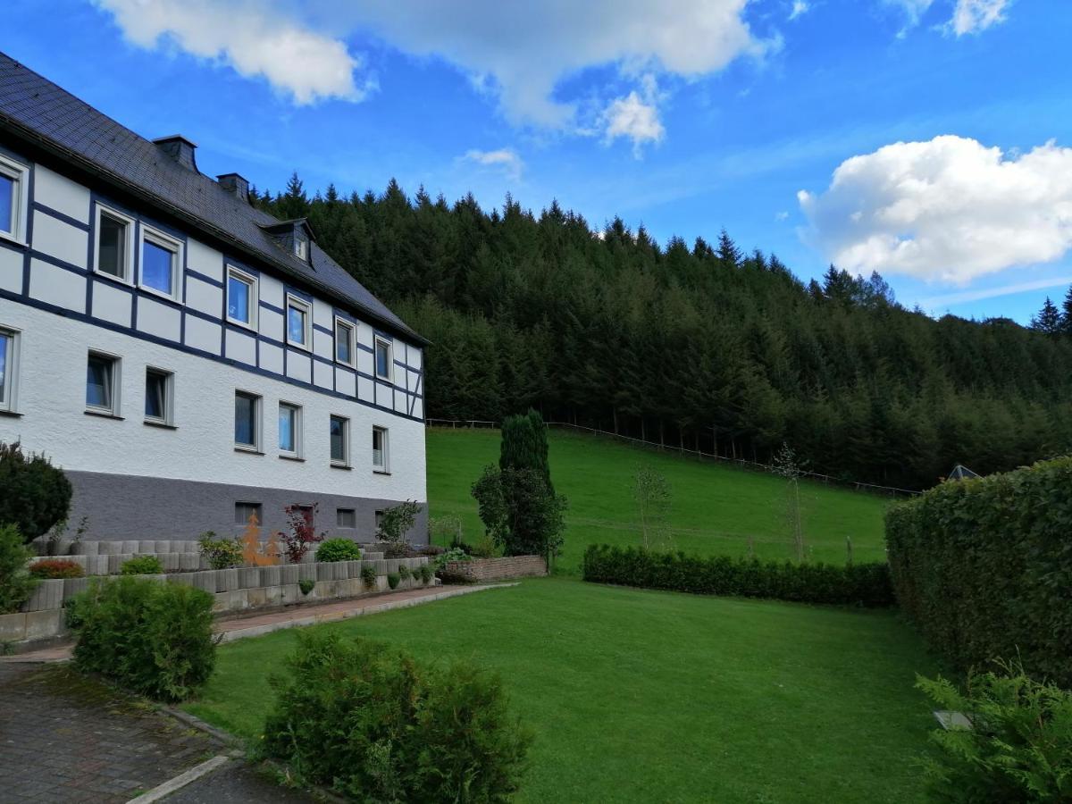 Modernisierte Ferienwohnung Im Schoenen Sauerland メシェデ エクステリア 写真